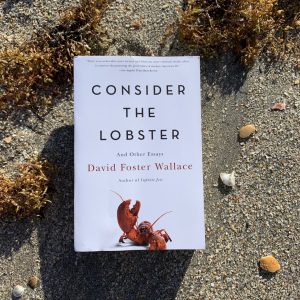 Libro consider the lobster de David Foster Wallace sobre la playa